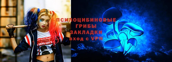 экстази Богородск