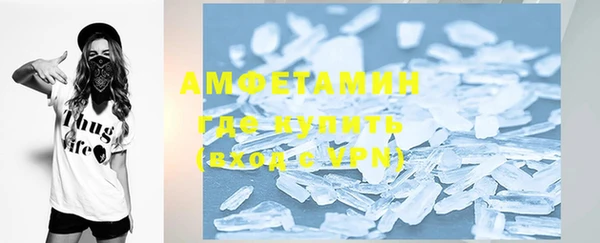 индика Богданович