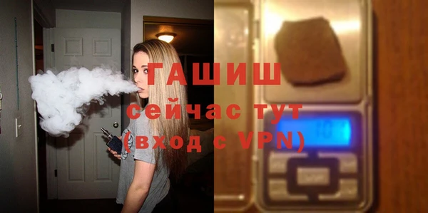 индика Богданович