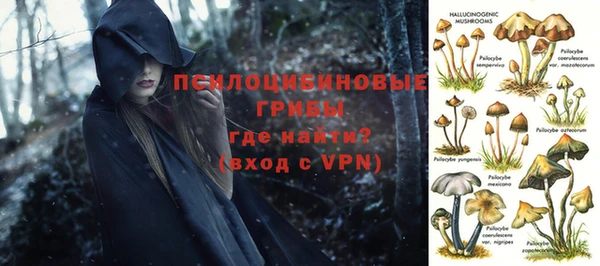 экстази Богородск
