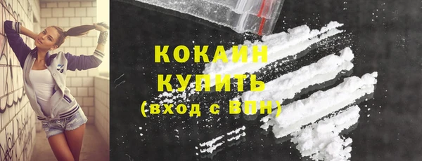индика Богданович