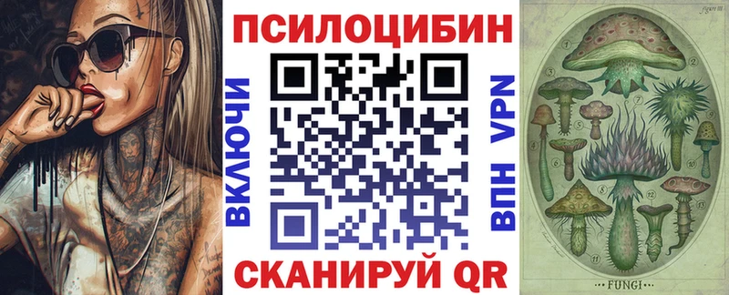KRAKEN как зайти  Пестово  Псилоцибиновые грибы Cubensis 